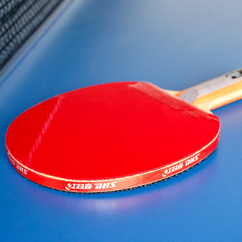 DHS Self-adhesive Table Tennis - đánh giá và giá Table Tennis Paddle Set